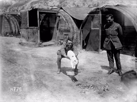 WW1 tunnellers with their cat Snowy WW1 tunnellers with their cat Snowy