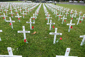 Crosses in the Brothers field