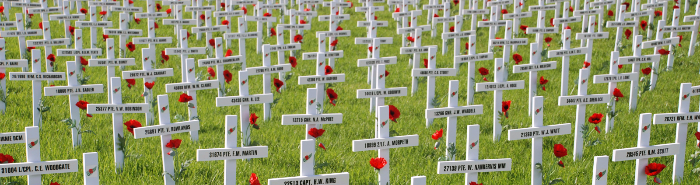 2017 Auckland Field of Remembrance