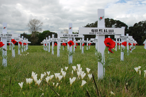 Crosses in a field of wild flowers