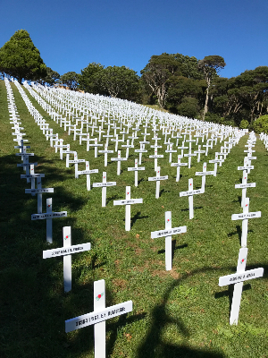 Crosses of the Salamanca Lawn in Wellington