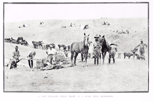 New Zealand troop with horses in the desert